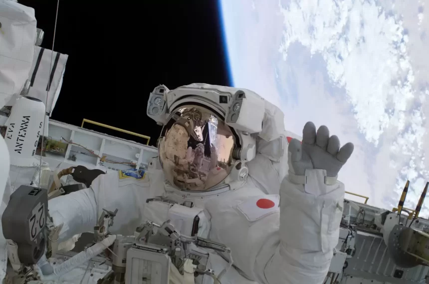Astronauta. Autor: Wikimedia Commons Astronauta. Autor: Wikimedia Commons